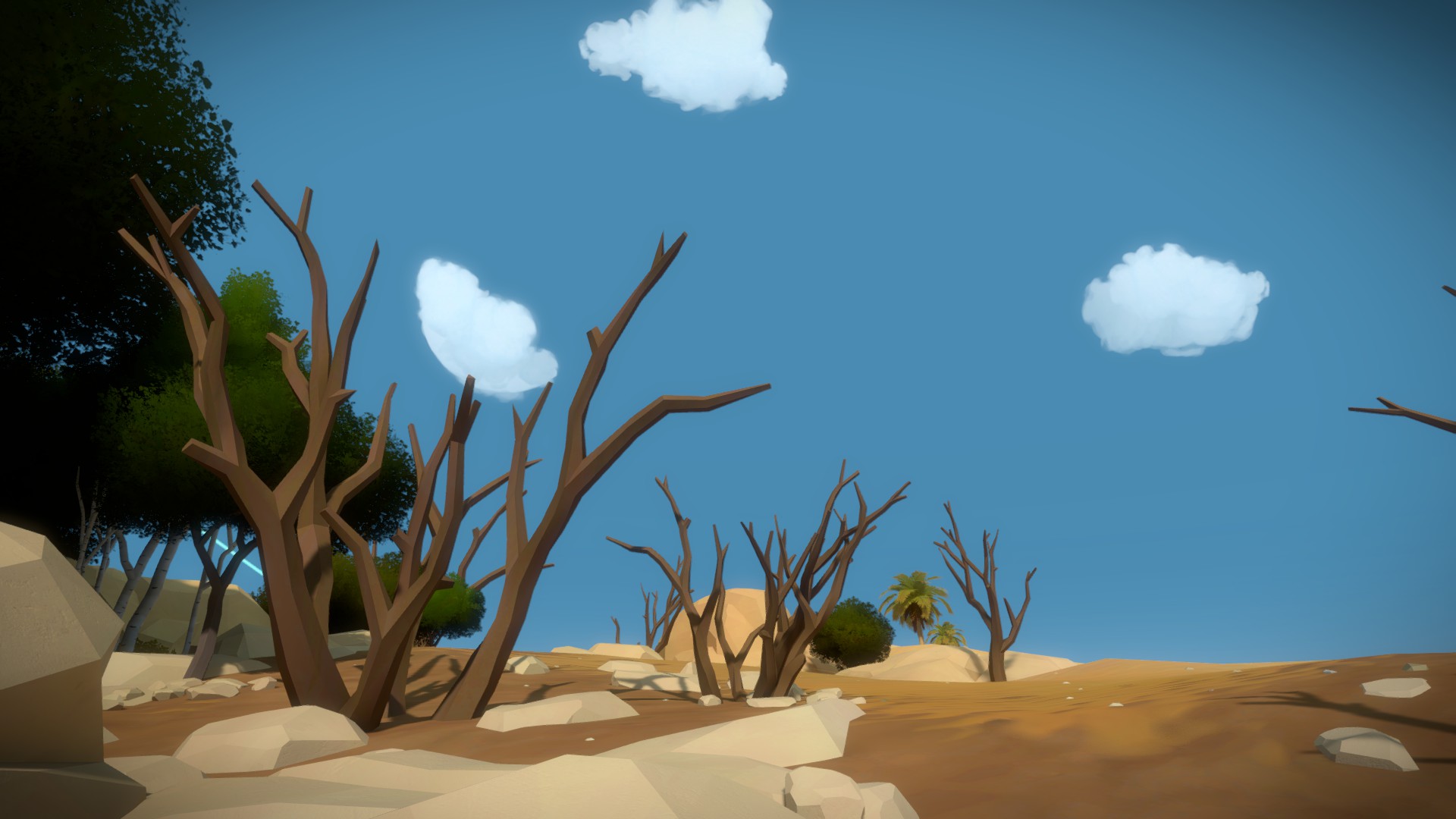 Desert Trees